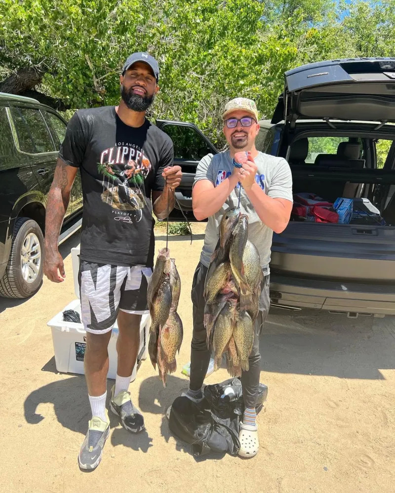 的英超走势 的英超走势