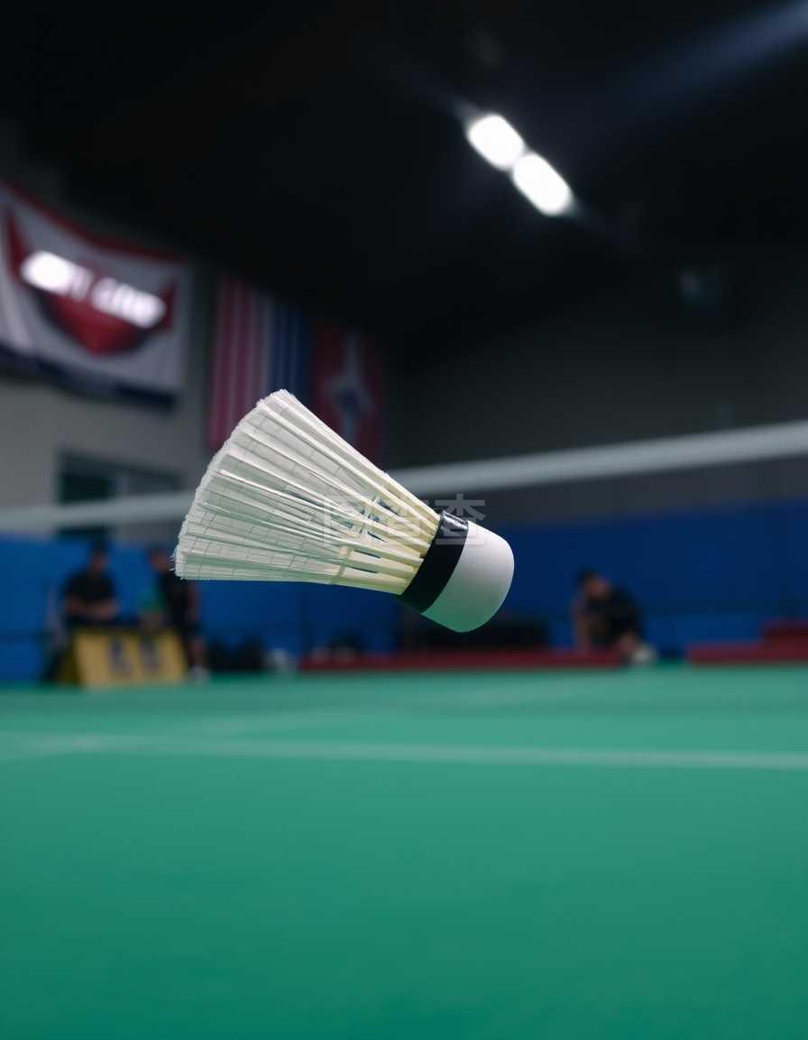 联赛中占据 联赛中占据