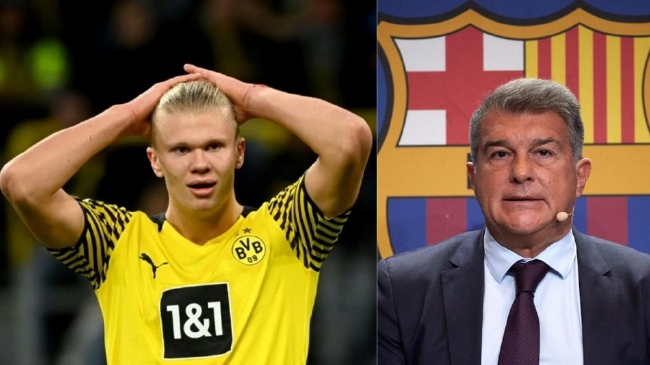 强度的权重 强度的权重