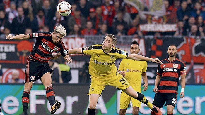 围绕双探花 围绕双探花